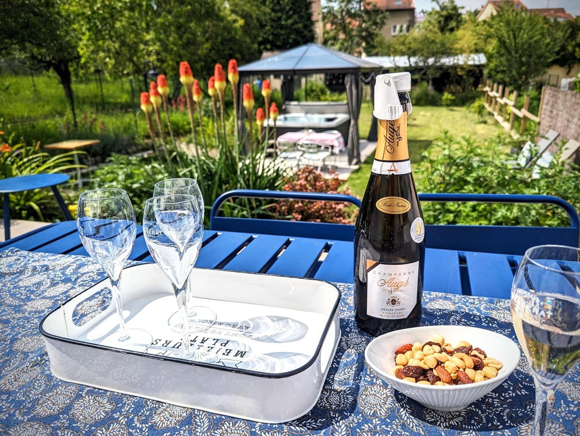 Le Cemarose: Spa, Jardin, Terrasse Et Jolie Vue Au Coeur D'epernay